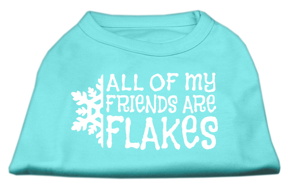 All my friends are Flakes Screen Print Shirt Aqua XXXL